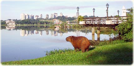 Parque Barigui, Curitiba