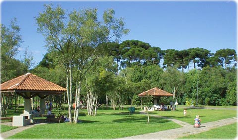 Parque Tingui em Curitiba Paraná