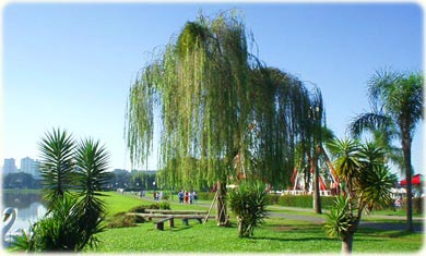 Parque Barigui em Curitiba Paraná