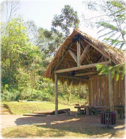 Bosque Gutierrez, em Curitiba