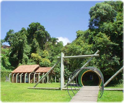 Bosque Zaninelli, em Curitiba Paraná